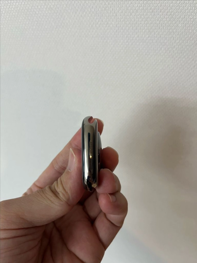 애플워치10티타늄 46mm 내추럴 SSS급 이미지