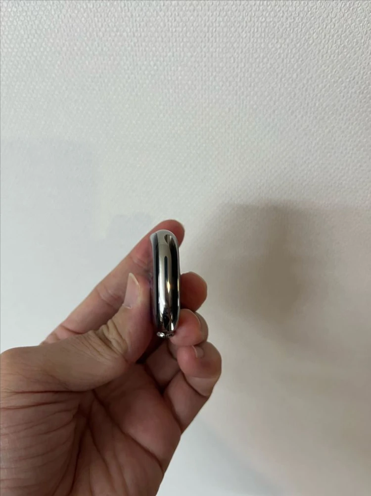 애플워치10티타늄 46mm 내추럴 SSS급 이미지