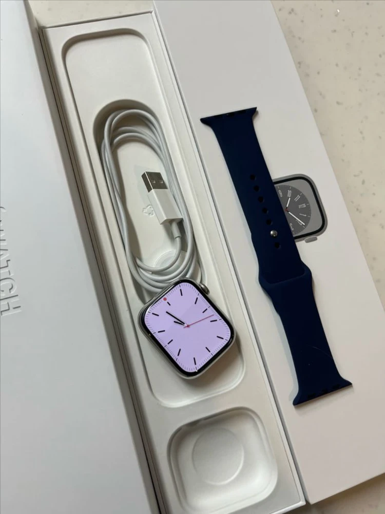 애플워치8스테인리스 45mm 실버 SSS급 이미지