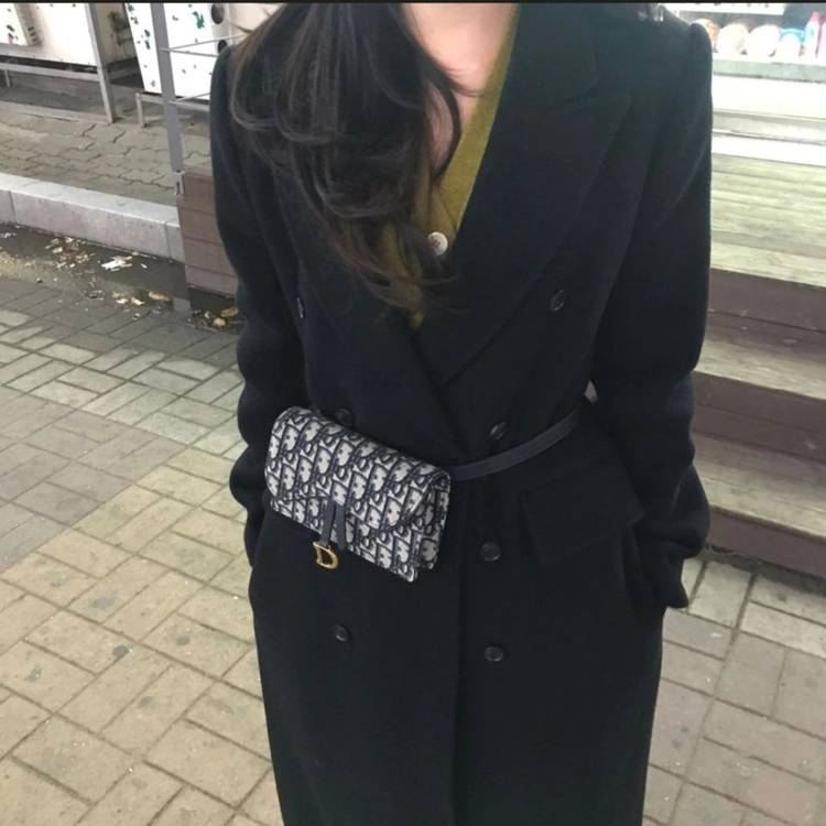(감정서)디올 오블리크 자카드 벨트백 구찌루이비통프라다샤넬 이미지