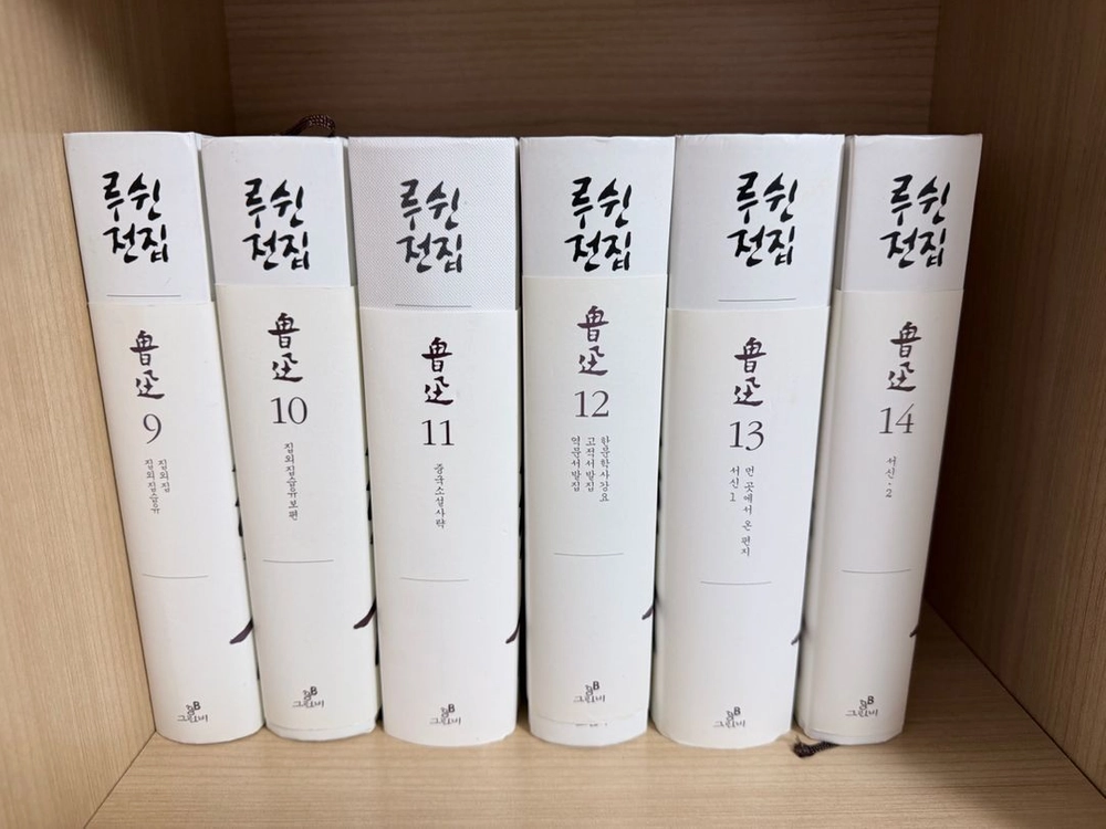 그린비 루쉰전집 세트 1권~20권 이미지