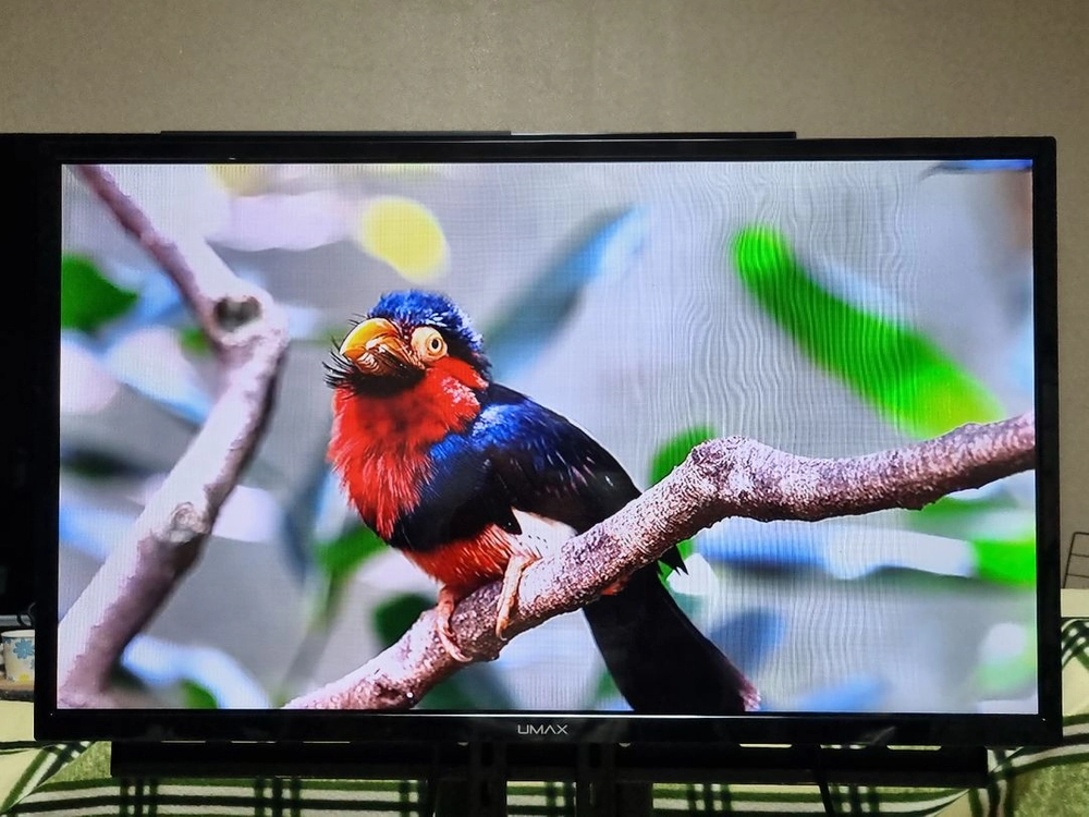 32인치 티비 모니터 LED TV 무결점 리모컨 스탠드 LG IPS 패널 양천구 이미지
