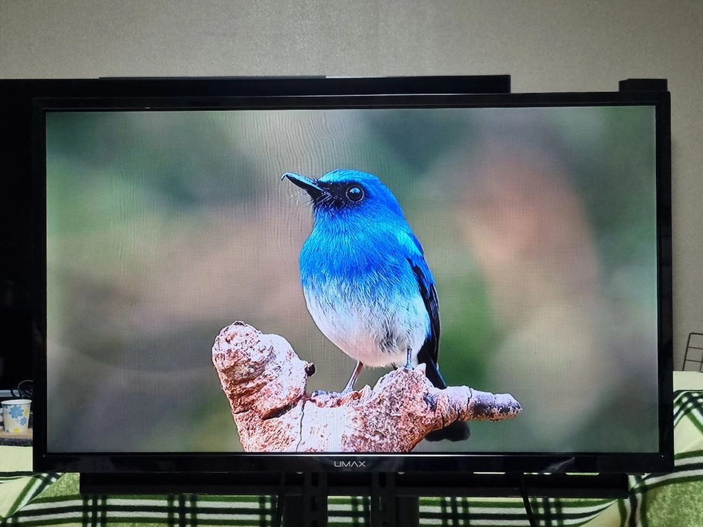 32인치 티비 모니터 LED TV 무결점 리모컨 스탠드 LG IPS 패널 양천구 이미지