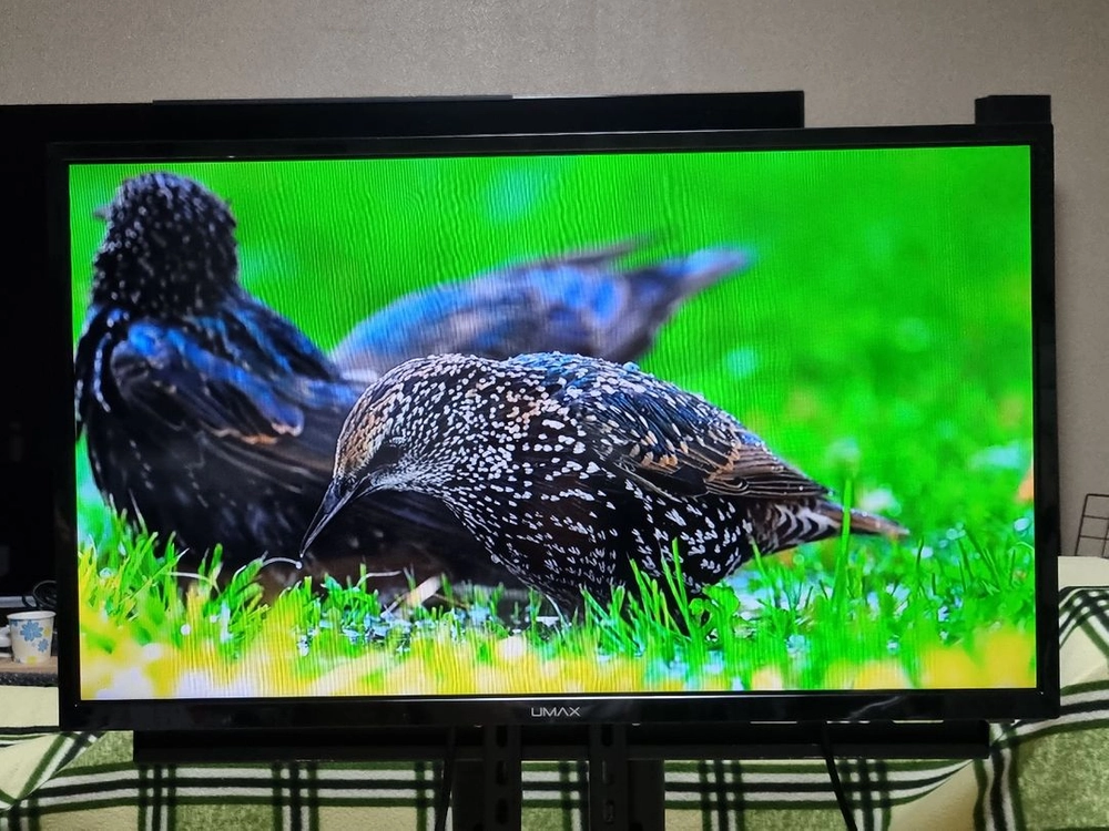 32인치 티비 모니터 LED TV 무결점 리모컨 스탠드 LG IPS 패널 양천구 이미지