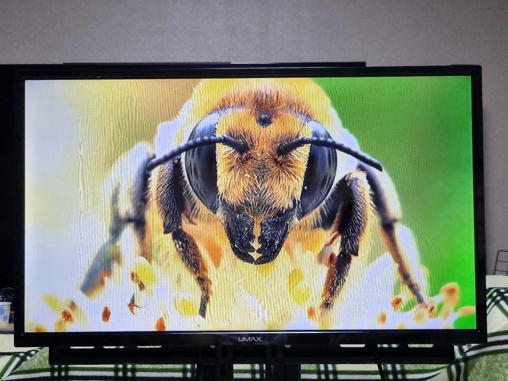 32인치 티비 모니터 LED TV 무결점 리모컨 스탠드 LG IPS 패널 양천구 이미지