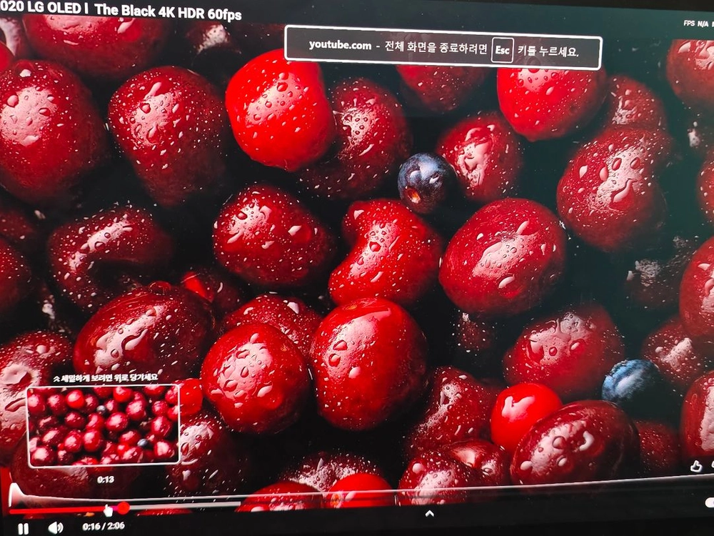 204 제피러스 g14 4070 2tb 이미지