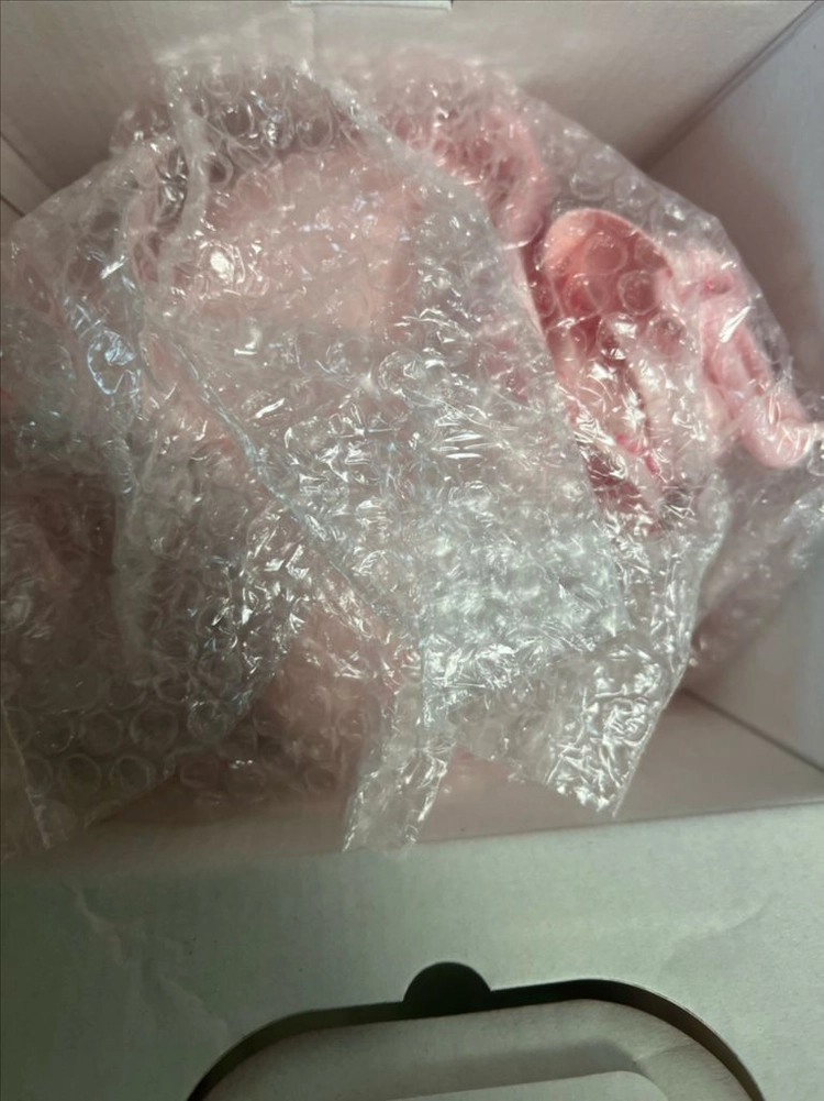 던킨 푸린 컨테이너 포켓몬 이미지