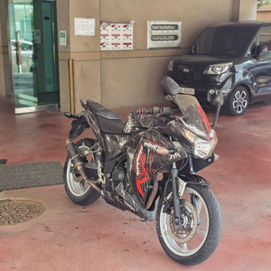 12_11년식 cbr250r 판매합니다 이미지