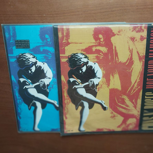 건스앤로지스 LP Use Your Illusion 1&2 이미지