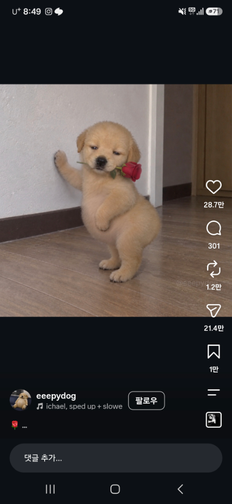 프로필 이미지