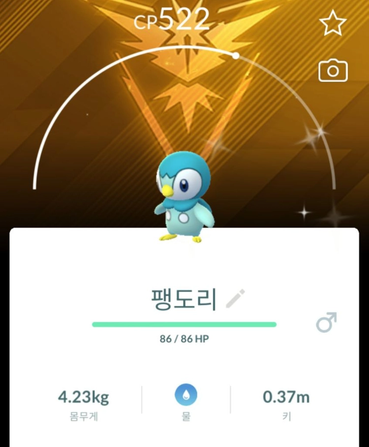 포켓몬고 스타팅 포켓몬 배경이로치 xxl xxs 이미지