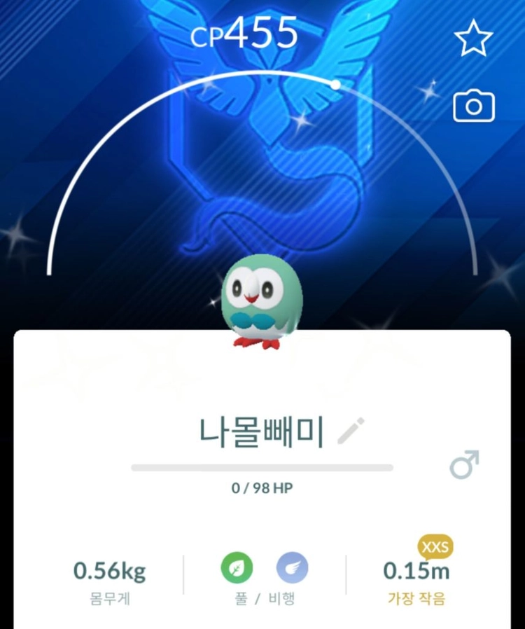 포켓몬고 스타팅 포켓몬 배경이로치 xxl xxs 이미지