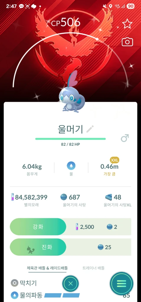 포켓몬고 스타팅 포켓몬 배경이로치 xxl xxs 이미지