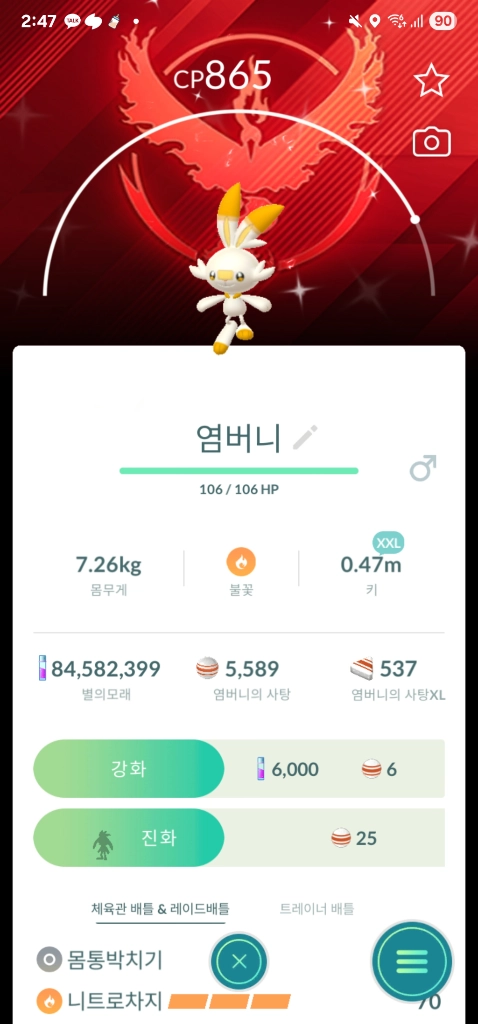 포켓몬고 스타팅 포켓몬 배경이로치 xxl xxs 이미지