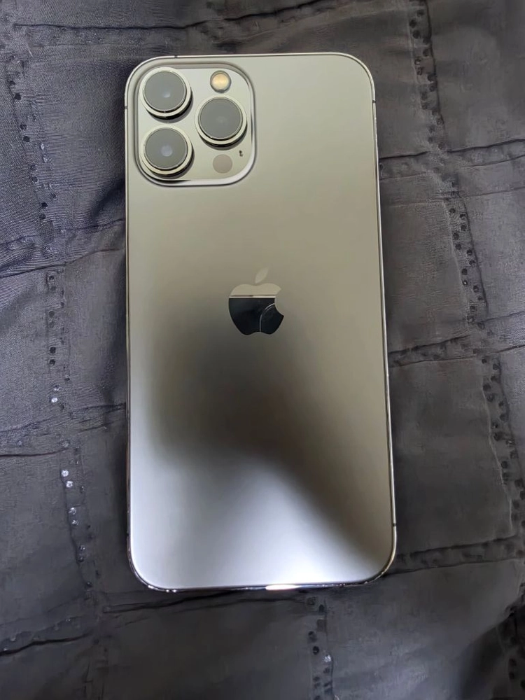 아이폰13 프로맥스 256GB 그라파이트 이미지