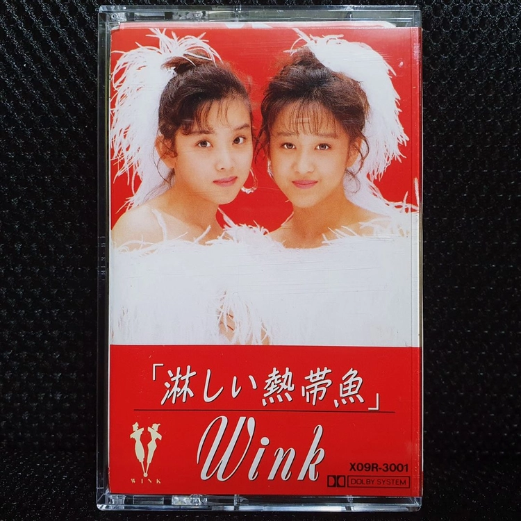 윙크 Wink 淋しい熱帯魚 카세트 테이프 이미지