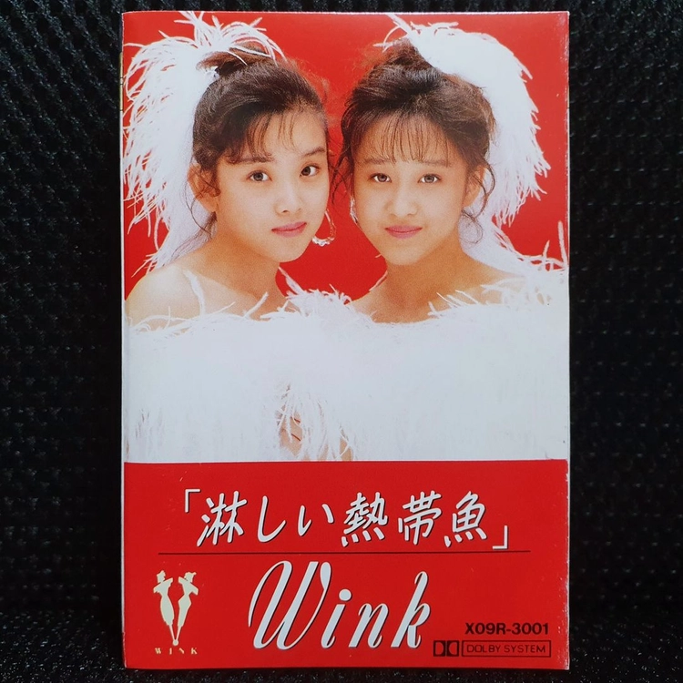 윙크 Wink 淋しい熱帯魚 카세트 테이프 이미지