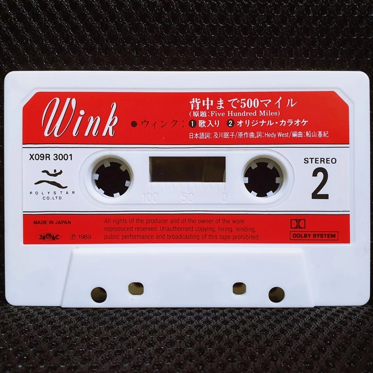 윙크 Wink 淋しい熱帯魚 카세트 테이프 이미지