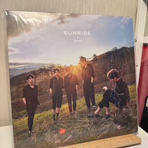 [미개봉] 데이식스 선라이즈 문라이즈 lp 일괄판매 이미지