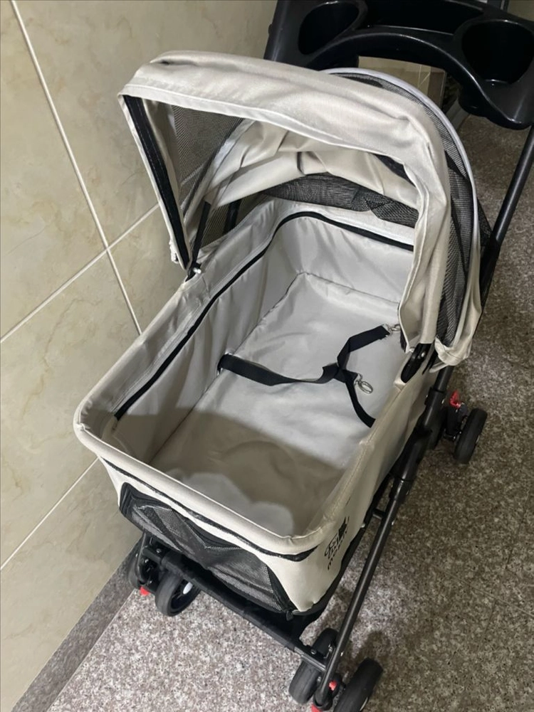 강아지 고양이 유모차 이미지