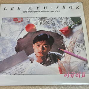 [중고] LP 이규석 2집- 사랑을 찻아서/ 안개속에 사라져가네 이미지