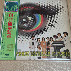 [중고] LP 들고양이들 81 THE WILD CATS 방송국초반-몰라주시깁니까 이미지