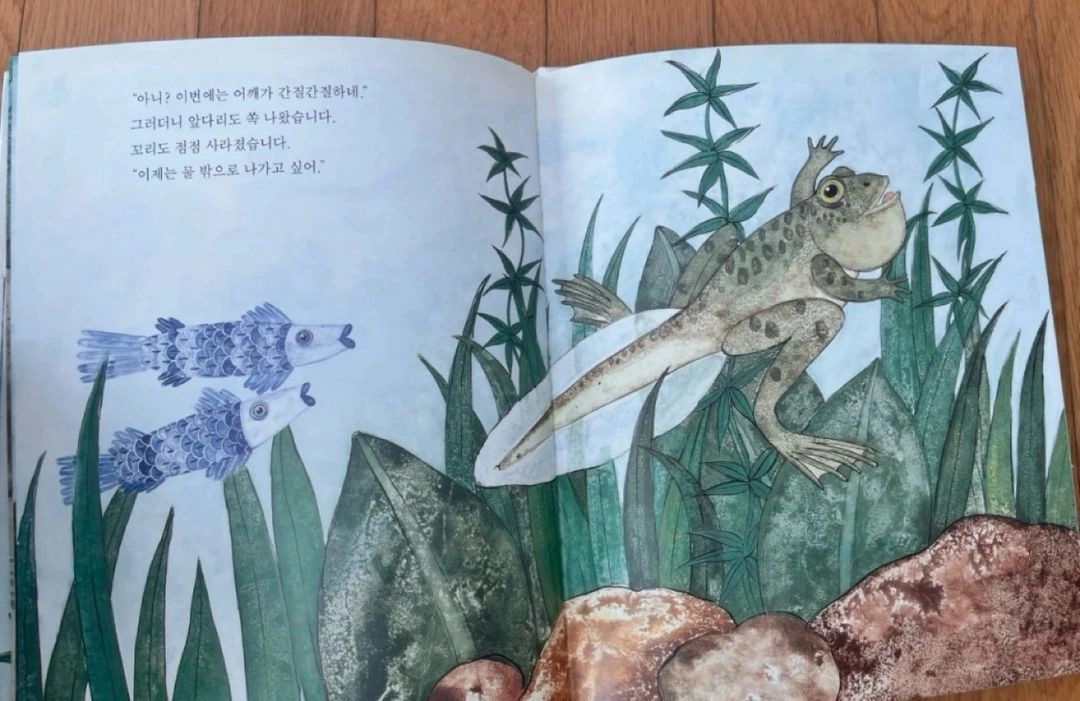 교원월드픽쳐북 136권 이미지