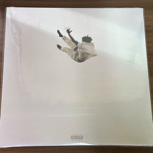 다니엘 시저 Pilgrims Paradise LP 미개봉 이미지