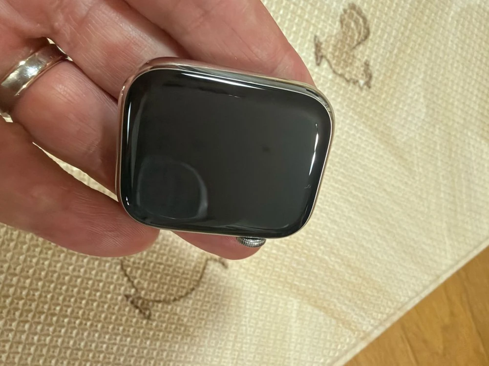 애플워치9 에르메스 실버 45mm 이미지