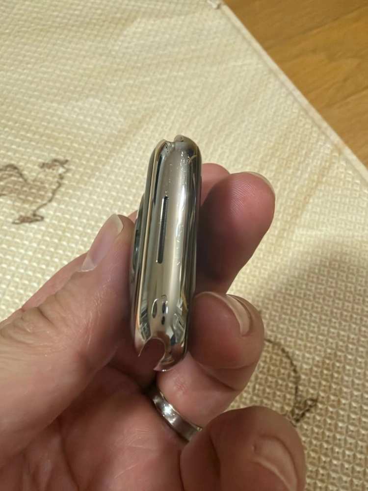 애플워치9 에르메스 실버 45mm 이미지