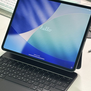아이패드 프로 13 M5 WiFi 256 실버 풀세트팝니다 (애케플 O) 이미지