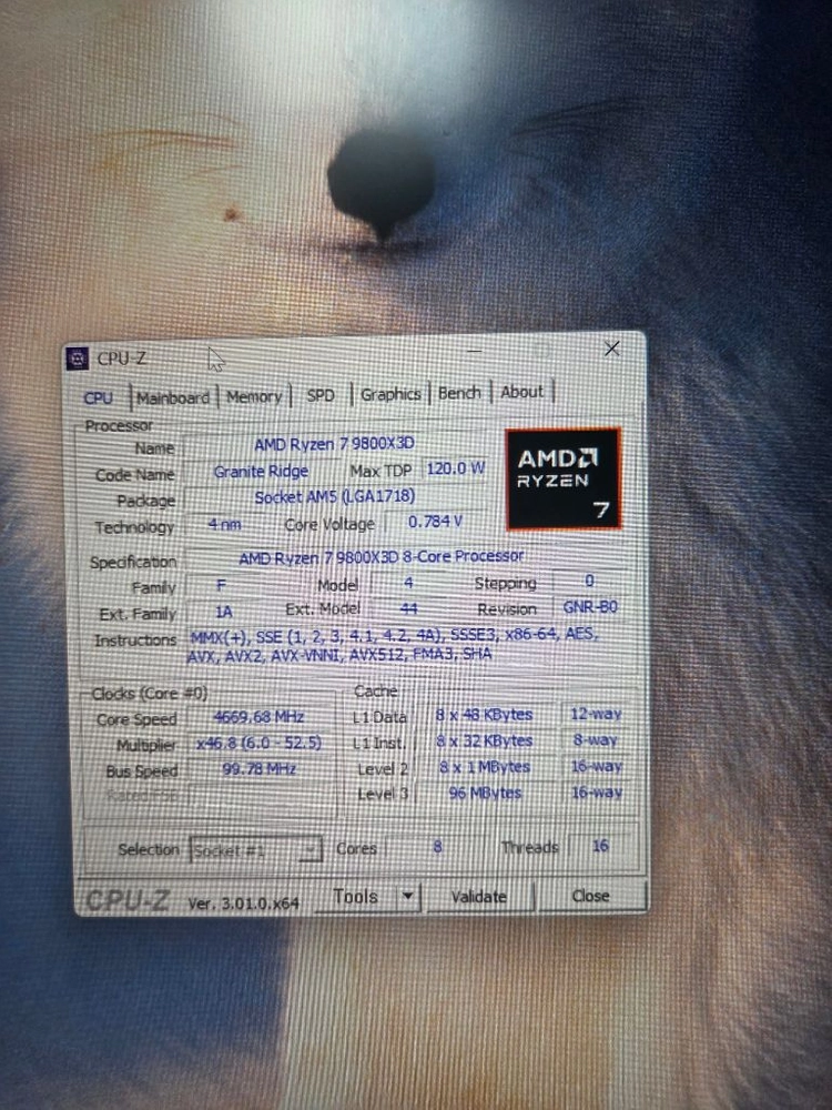 라이젠 9800x3d cpu 팝니다 이미지