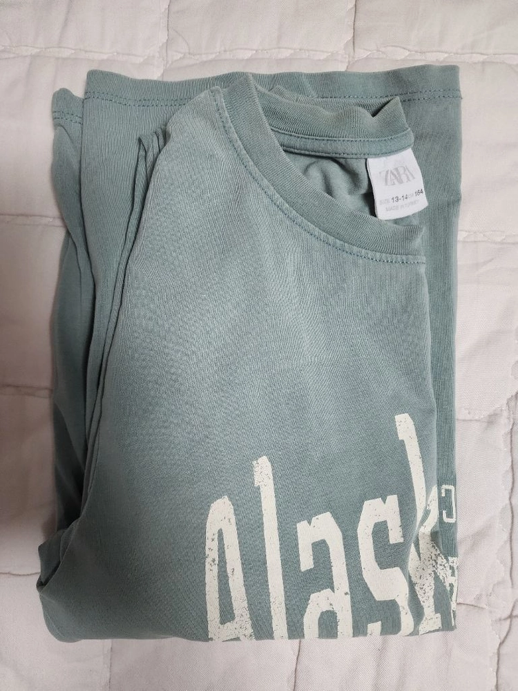 ZARA Alaska U.S. 맨투맨 (13~14/164) 이미지