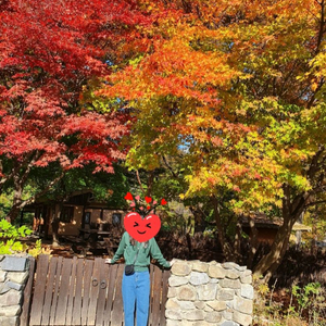 보이핏 데님청바지 #키작녀 팬츠 #M사이즈 #배기데님팬츠 #봄가을팬츠 이미지