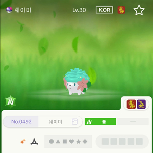 이로치 쉐이미 포켓몬스터 스칼렛 바이올렛 소드 실드 닌텐도 챔스 챔피언스 포챔스 za 이미지