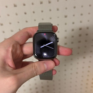 애플워치 11 네츄럴 티타늄 42mm+밀레니즈루프 이미지