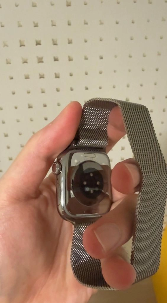 애플워치 11 네츄럴 티타늄 42mm+밀레니즈루프 이미지