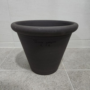 두갸르송 고화도 링팟24 미사용 이미지