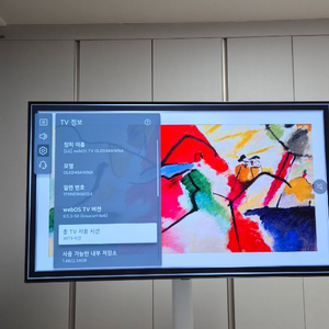 48인치 OLED TV 이미지