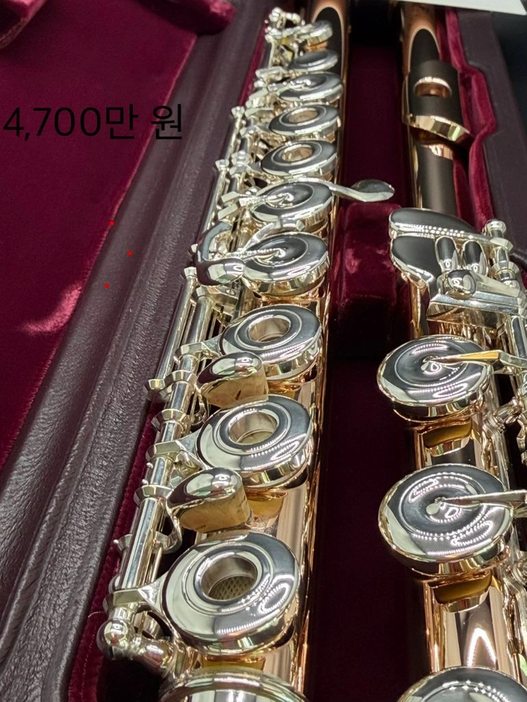 New 무라마츠 9k gold combi 새상품 플루트 플룻 이미지