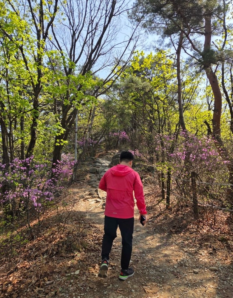 나이키 윈드러너 리펠 러닝 바람막이 자켓 핫핑크 L100사이즈 이미지