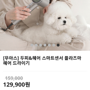 무아스 두피 헤어 스마트센서 플라즈마 드라이기 티타늄 미개봉 새상품 반려동물 어린이 음이온 LED 마사지 케어 노즐 이미지