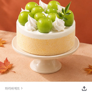 파리바게트 20프로할인 금액대다양 투썸플레이스 컴포즈커피 메가커피 파리바게뜨 쿠폰즉시전송 이미지