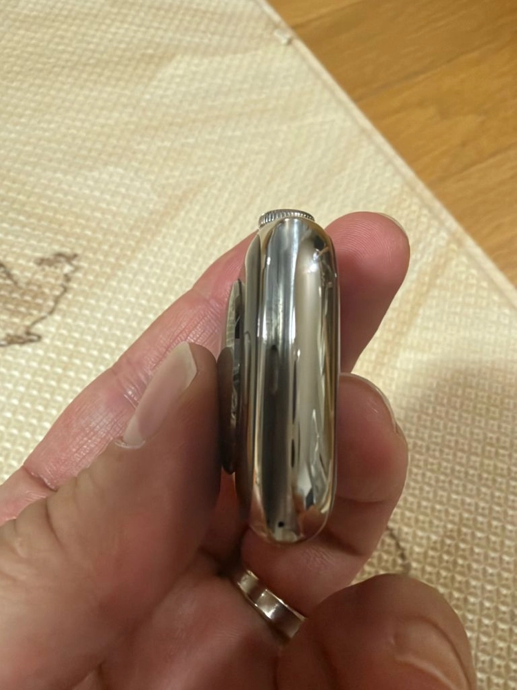 애플워치9 에르메스 실버 45mm 이미지