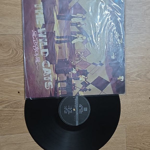 LP 이미지