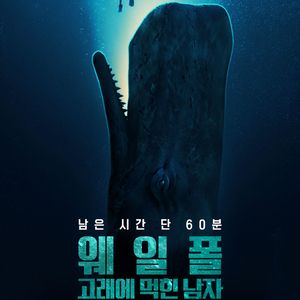 메가박스 - 5000 웨일폴 고래에먹힌남자 스트리트파이터 전자오락수호대 / 10000 주중 / 11000 주말 이미지