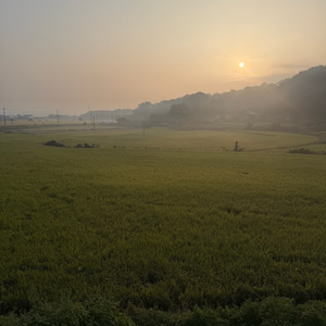 갤러리아 18700 ->10000원 판매 이미지