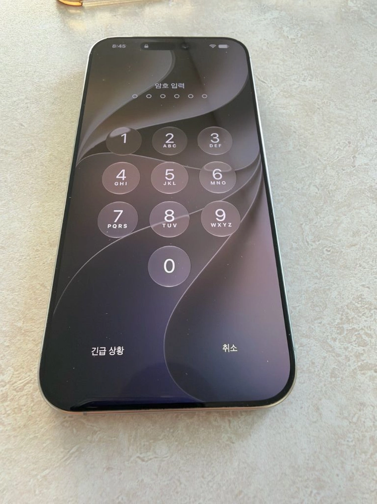 애플 아이폰 16프로맥스 256GB 실버 맥세이프 케이스 포함 iPhone 16 Pro Max 256G 이미지