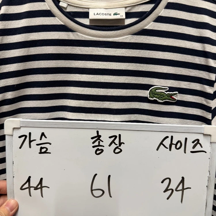 라코스테 반팔티셔츠 이미지