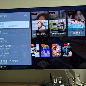 lg 42c2knb oled tv 이미지